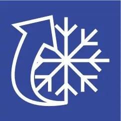 Shkrirje Inteligjente