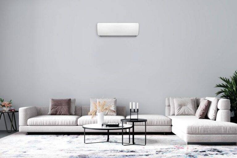 Freedom Plus Ambient 5